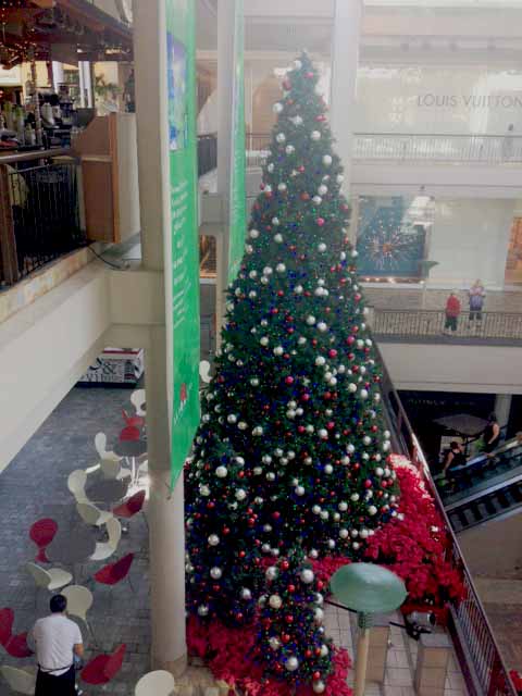 Ala Moana shopping center ringクリスマスツリー