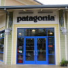 パタゴニア ワード店