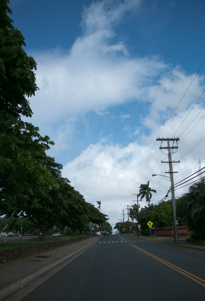 振り返るとこのような風景。このあと薄っすらとですが虹がかかりました。ひとつで二度美味しい、ハワイの風景です。