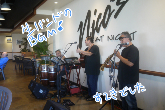 nicos-pier38-band